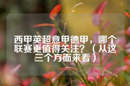 不可忽视的